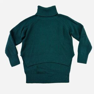 Aritzia Wilfred merino wool turtleneck sweater Size XS hi low hem pine green